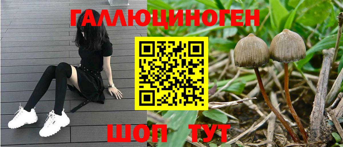 Псилоцибиновые грибы мухоморы Киселёвск